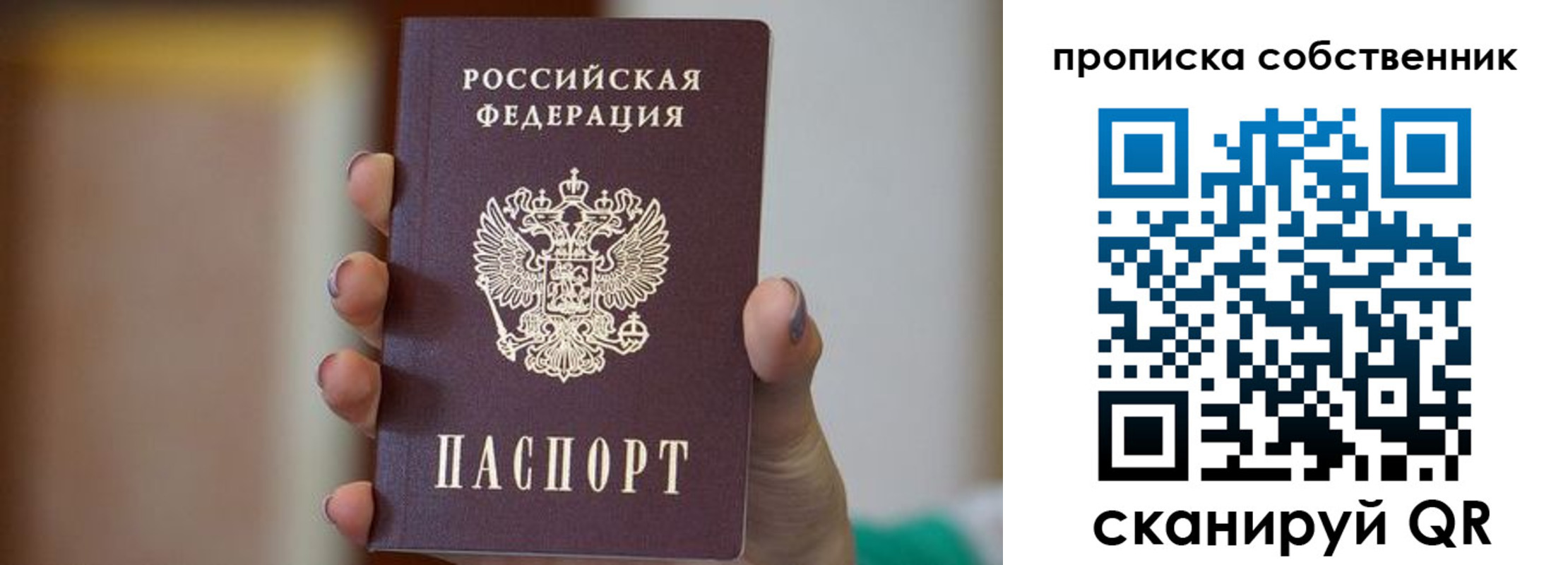 прописка поиск в Палласовке